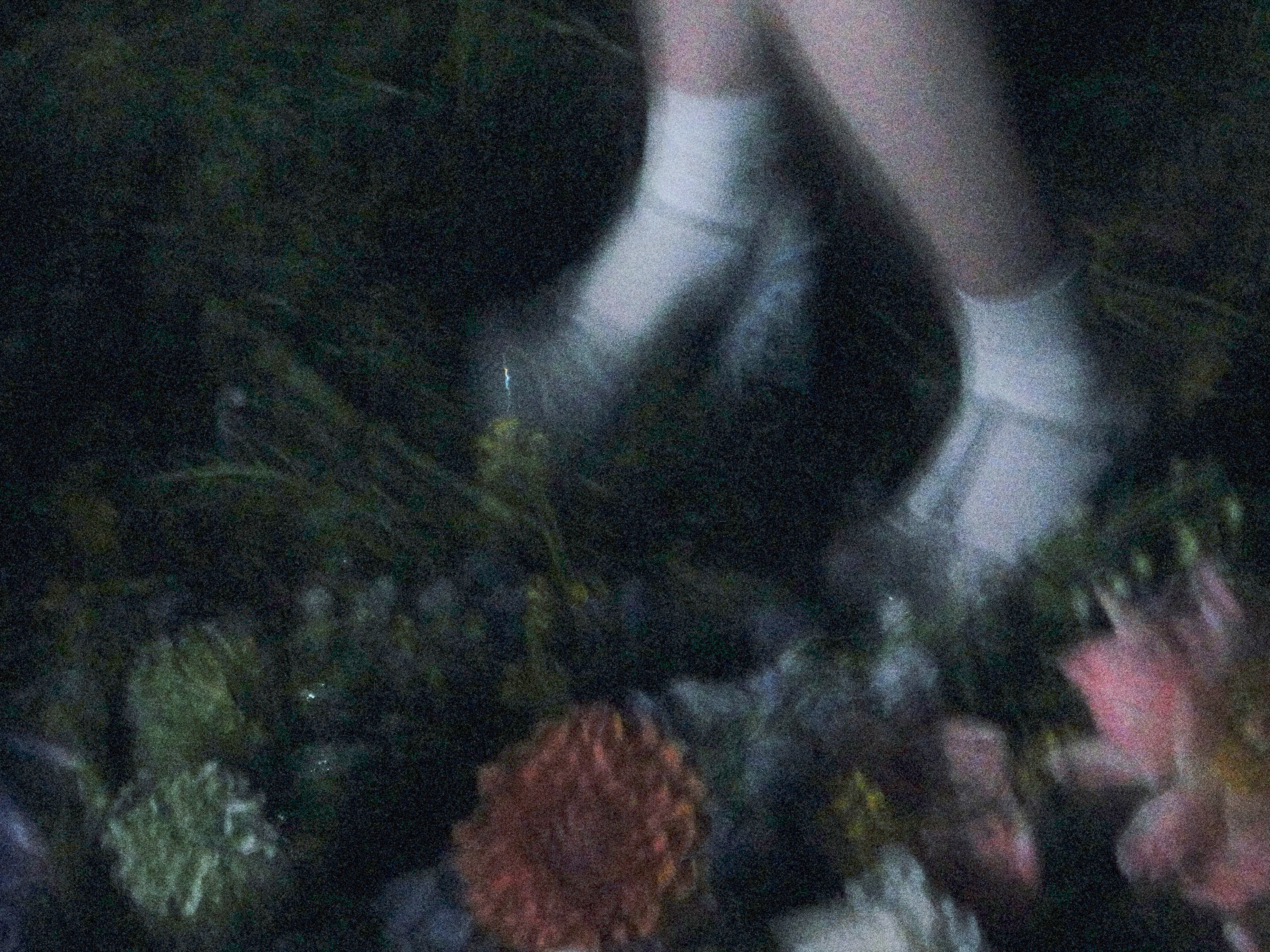 Person standing on flowers